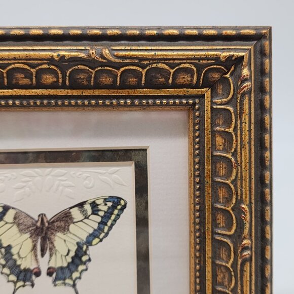 Vintage Hand Painted Embossed Butterfly in Ornate Gold Frame by MPressions - Picture 4 of 13